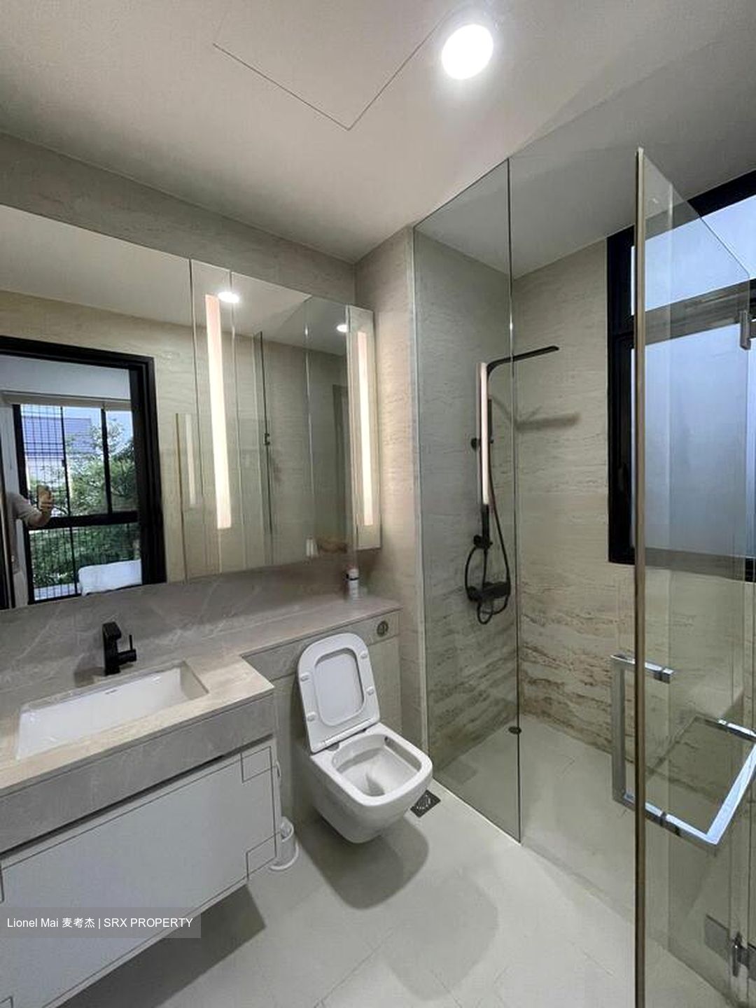 The Asana (D10), Apartment #522052711